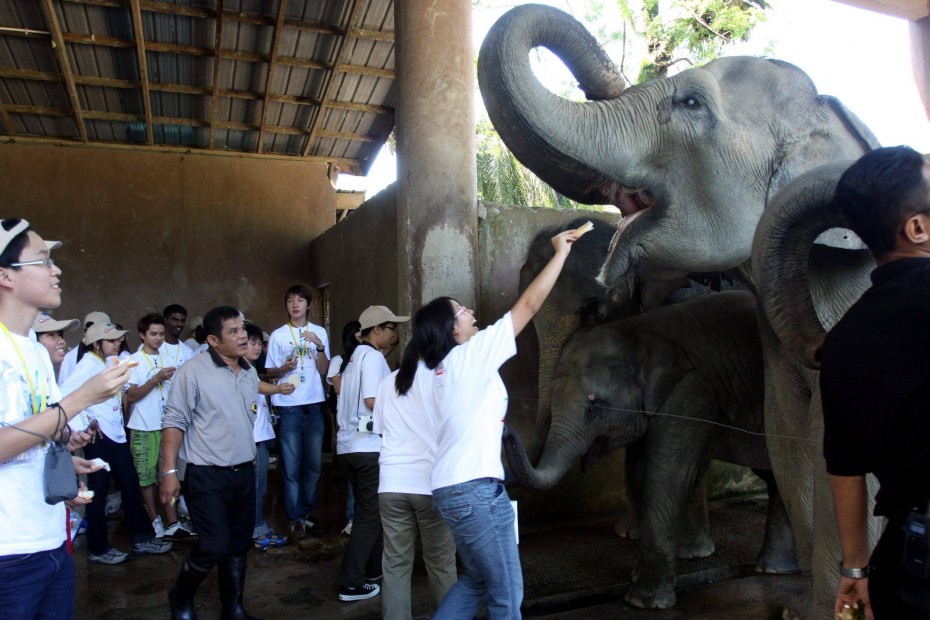 Rip-roaring fun: This is what happened the last time BRATs went to Ipoh/Taiping – we fed and bathed elephants at Taiping zoo.