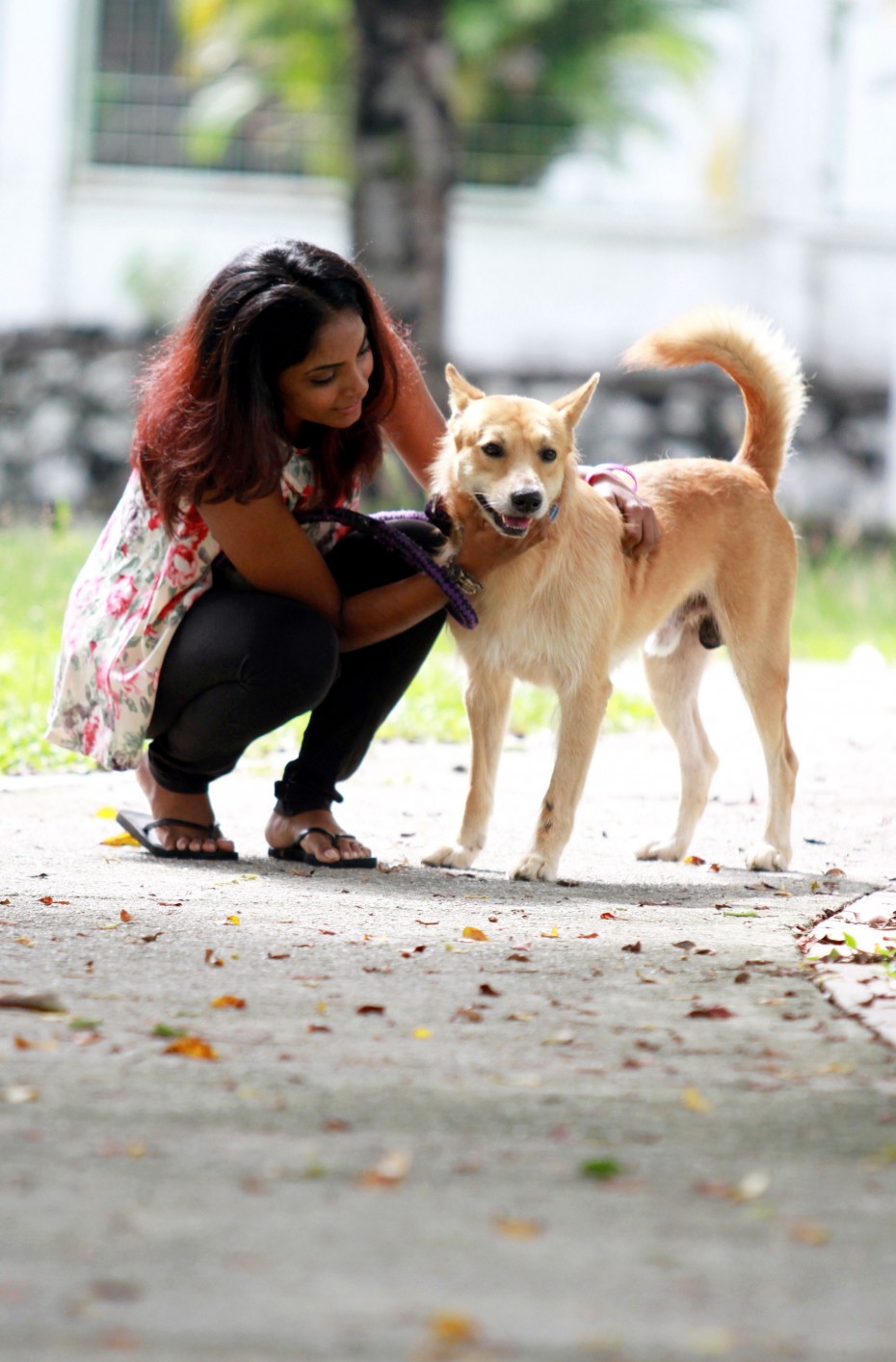 Darshana says young Malaysians can help by running animal rights campaigns in their local communities. The goal would be simple – get all strays in your neighbourhood spayed and adopted.