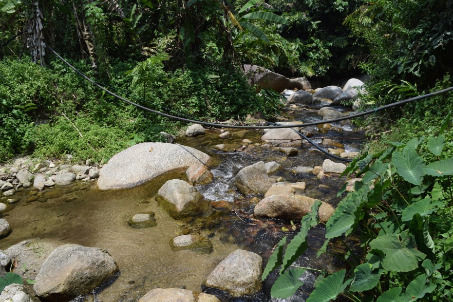 The water pipes installed by the orang asli travel far throughout the mountains. 